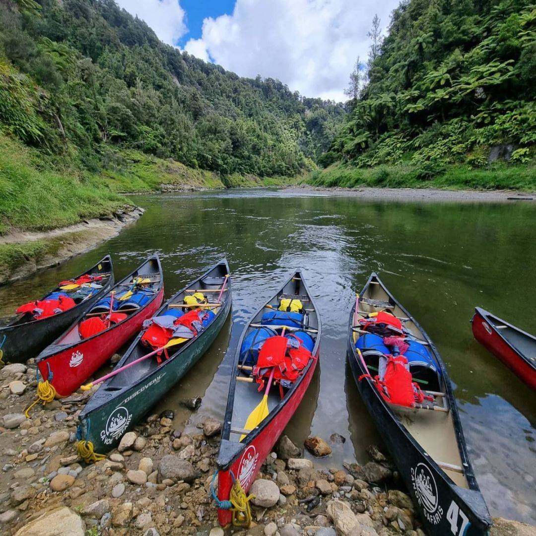 whanganui river canoe trip