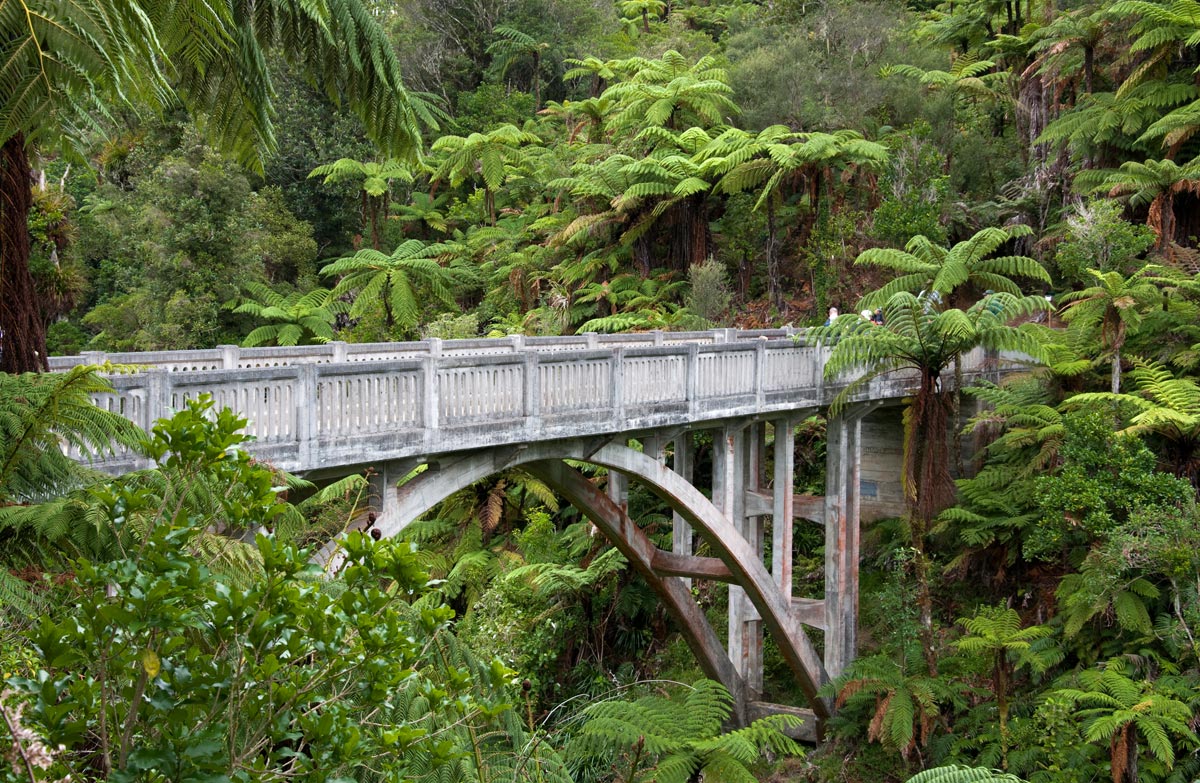 whanganui canoe trips