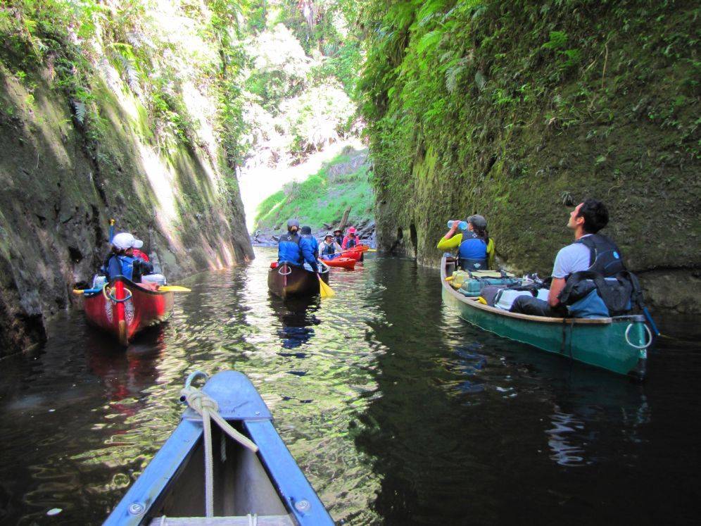 whanganui journey guided