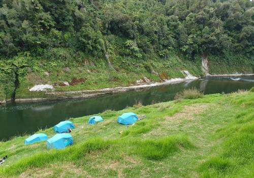 Tent Setup at a Whanganui River Campsite