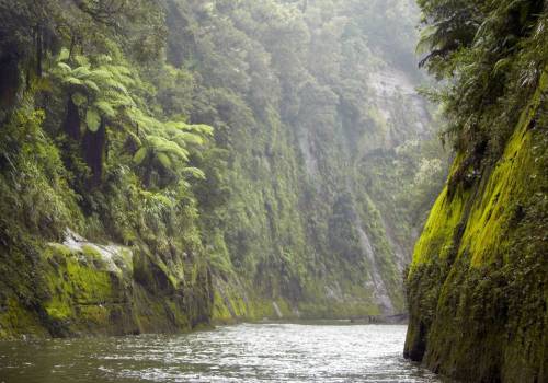 Whanganui National Park Gorge