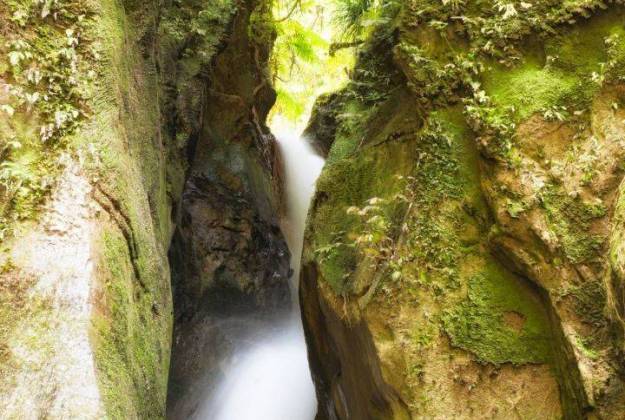 Rangitikei tours | Guided Tours