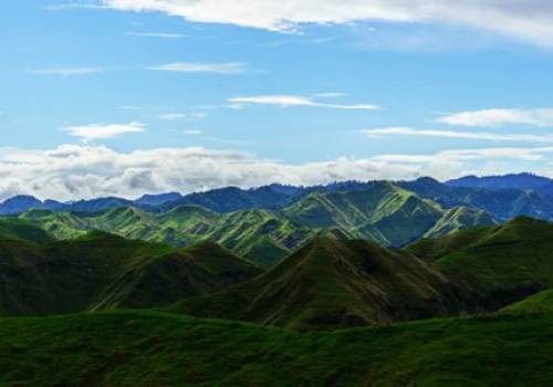 Things to do in Whanganui – Panoramic view of Whanganui National Park