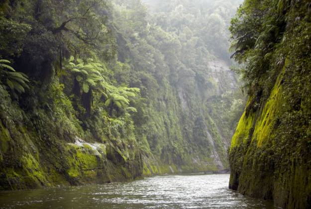 whanganui canoe trips