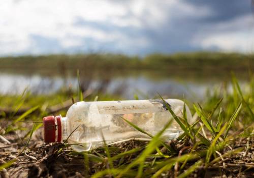 River conservation – Plastic bottle polluting river bank